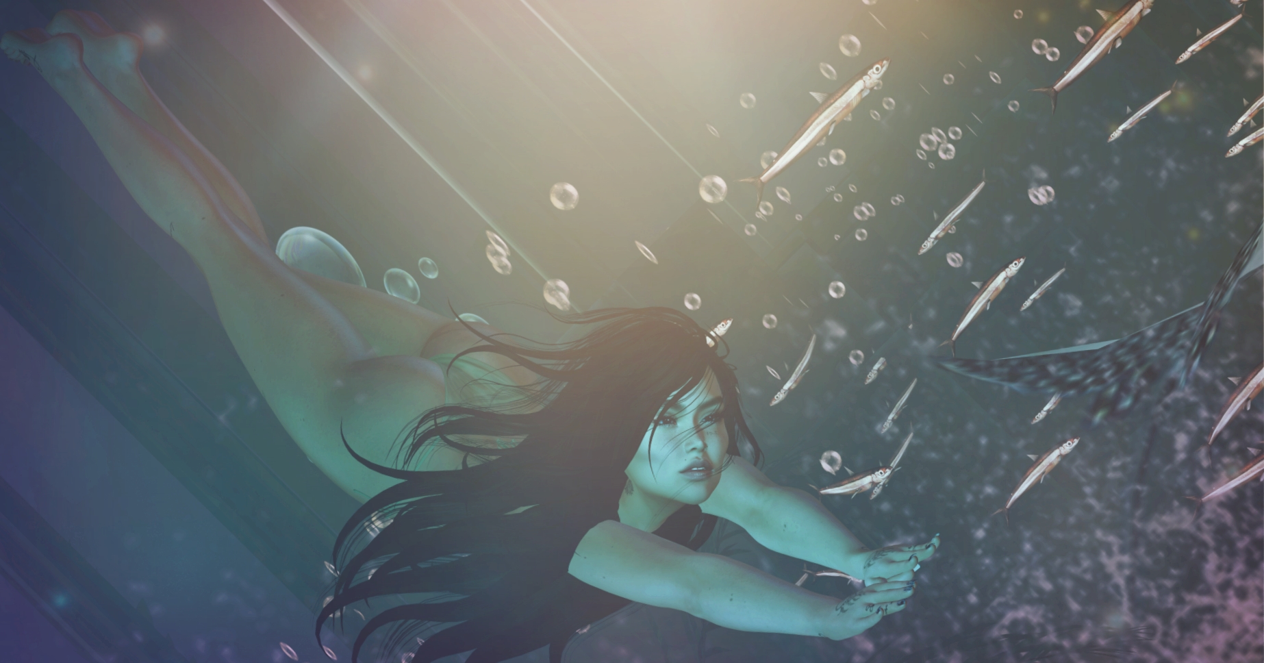 53540097120_cf04529927_o